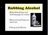 Home Remedies To Get Rid Of Bed Bugs With Alcohol Images