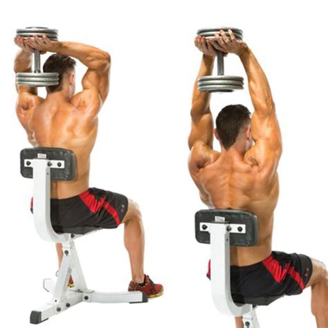 Dumbbell Overhead Triceps Extension By Noel Fernandes Exercise How To