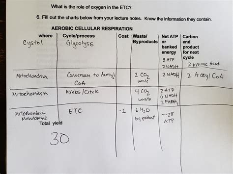 The general chemical equation for cellular respiration is reactants of cellular respiration are glucose and oxygen. Write The Chemical Equation For Overall Process Of Cellular Respiration Quizlet - Tessshebaylo