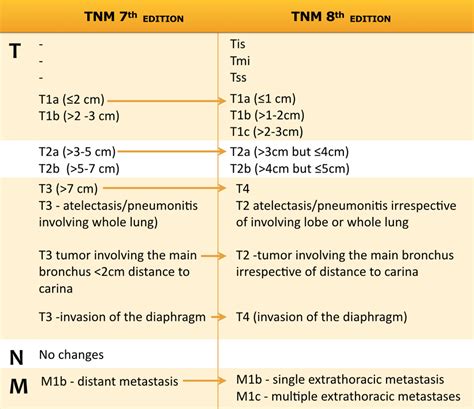 Classification Criteria Of Tnm Th And Tnm Th Staging System For My