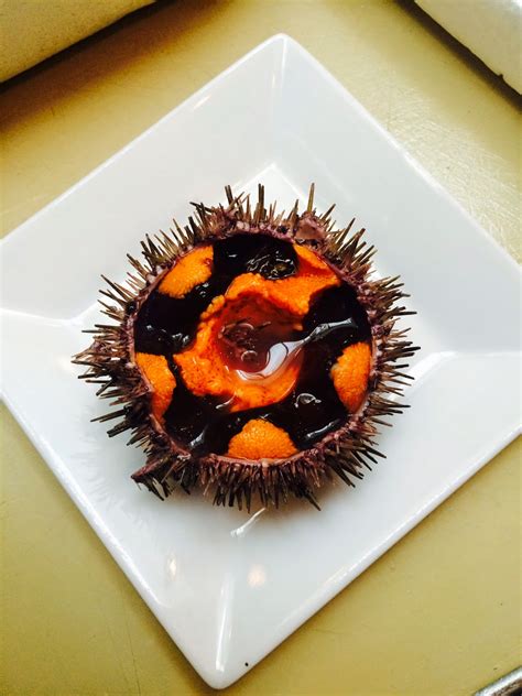 The Edible Ocean Try The Sea Urchin