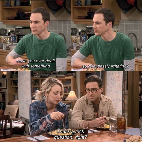 Big Bang Theory Memes Great Tv Shows Stupid Funny Memes Hilarious