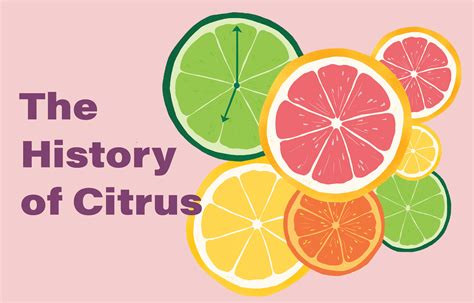 The Sweet Tart History Of Citrus