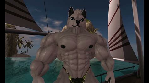 Wolf Muscle Youtube