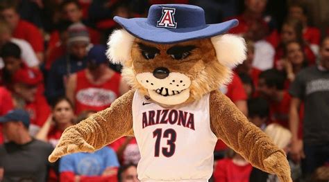 Mascot Monday The University Of Arizona Wildcats Have We Featured Your School Yet Arizona