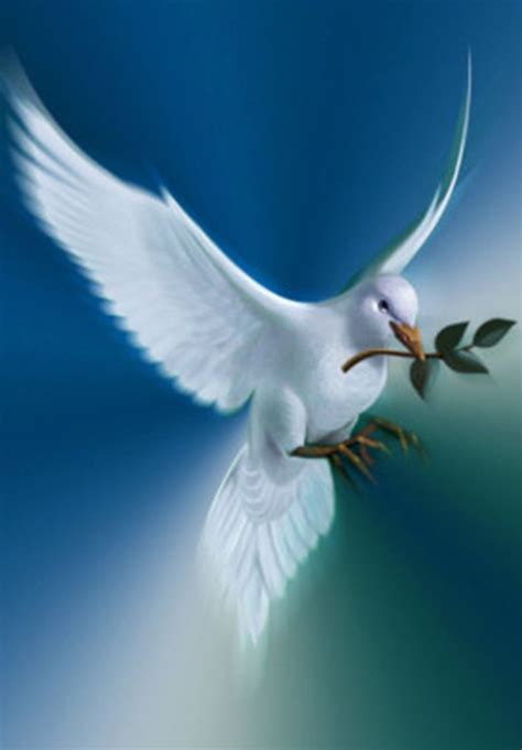 Ver más ideas sobre espíritu santo, espiritus, bendiciones para ti. EL ESPÍRITU SANTO, EN FORMA DE PALOMA, TE REGALA EL DON DE ...