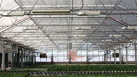 Indoor Leafy Greens Grower Heads West Greenhouse Grower