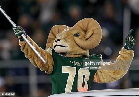 Colorado State Rams Mascot Photos And Premium High Res Pictures Getty