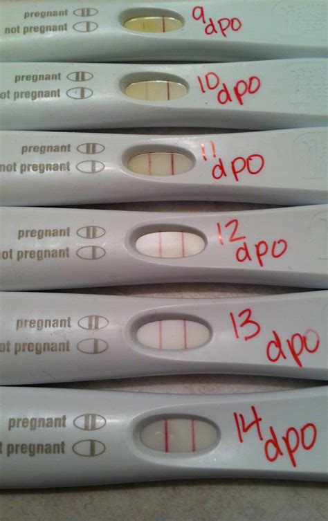 Days Past Ovulation For Positive Pregnancy Test Instructions Best Way