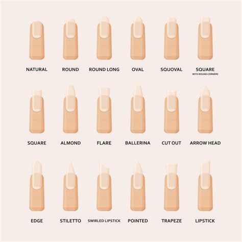 the nail shapes you need to know for the perfect mani different nail shapes nail shapes nail