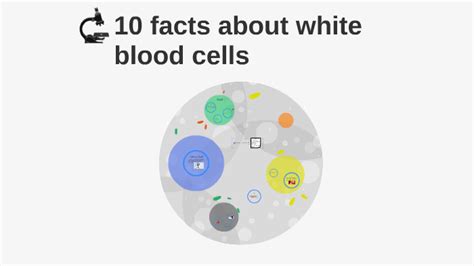 10 Facts About White Blood Cells By