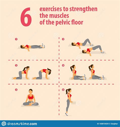 Exercises To Strengthen The Muscles Of The Pelvic Floor Stock Illustration Illustration Of