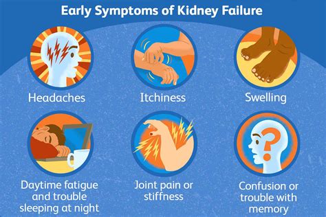 Top 19 What Are The Symptoms Of Kidney Failure 2022