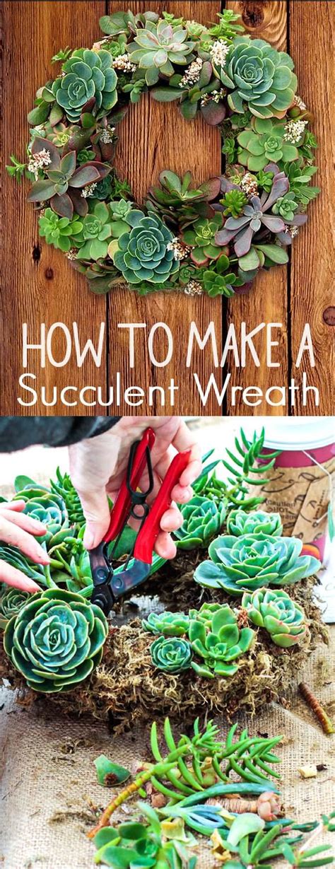 It's a brand new installation in la jolla!your succulent tip of the day!with designer laura eubanks at design for serenity. How to Create a Succulent Garden Wreath • VeryHom