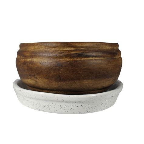 Lasaki Bowl With Tray Plate Ceramic Pots For Indoor Plantsplanters