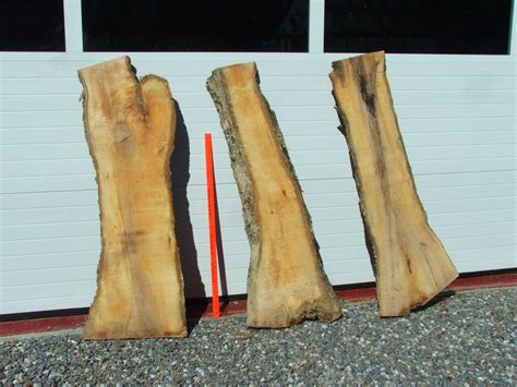 Maybe you would like to learn more about one of these? Epoxy Wood Sealer Waterproof - Walesfootprint.org ...