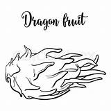 Dragon Fruit Drawing Coloring Unpeeled Horizontal Position Hand Getdrawings Onlinecoloringpages sketch template