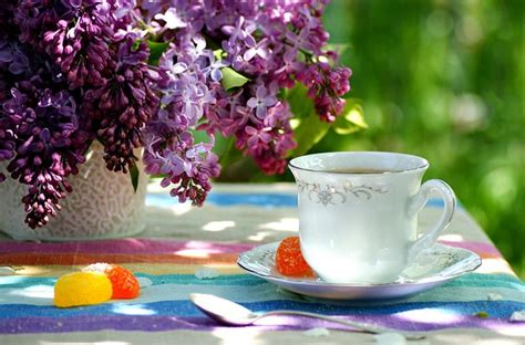 Still Life Lilac Lilacs Tea Bokeh Tea Time Cup Flowers Nature