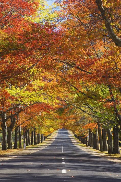 23 Photos That Prove Fall Is The Most Spectacular Season Autumn
