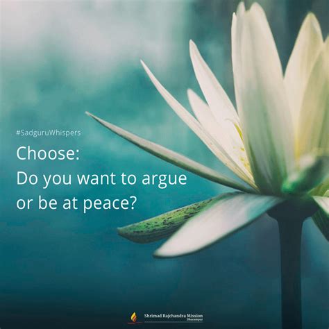 Choose Do You Want To Argue Or Be At Peace