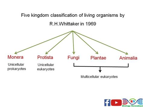 Biological Classification Biological Classification Class 11