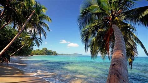 5 Magical Things About Puerto Viejo Costa Rica