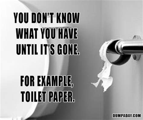 Funny Quotes About Toilets Quotesgram