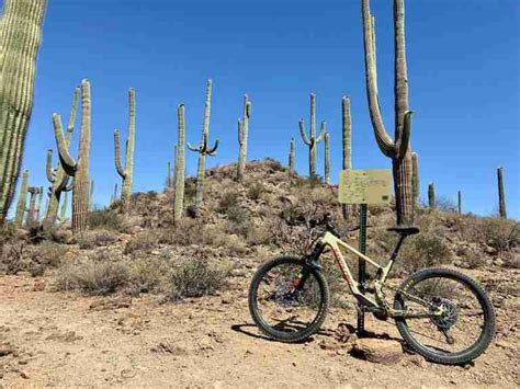 A Complete Guide To Tucson Mountain Biking The Best Trails And More