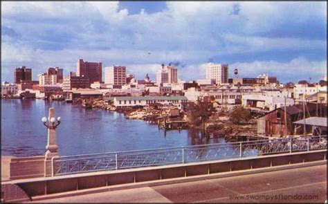 Swampys Postcard Thursday Downtown Tampa 1960s Along The Platt