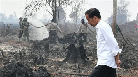 Presiden Tindak Tegas Pelaku Pembakaran Hutan Lahan