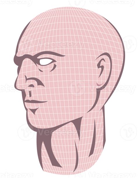 Male Human Head With Grid 13790444 Png