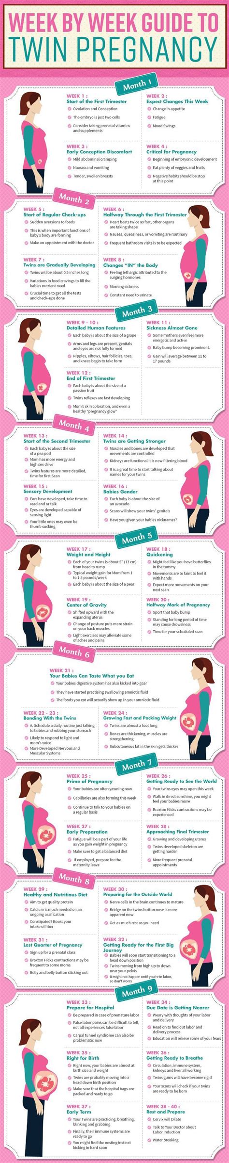 Week By Week Guide To Twin Pregnancy Signs Of Twin Pregnancy Twin Pregnancy Pregnancy Signs