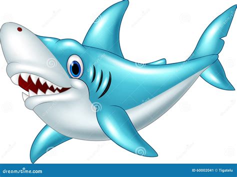 Shark Isolated On White Background Sea Danger Shark Cartoon