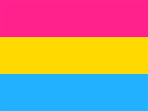 These lgbt pride flags represent the lgbt movement as a whole with sexual orientations, gender identities, subcultures, and regional purposes. LGBT Pride Flags - Pride Nation