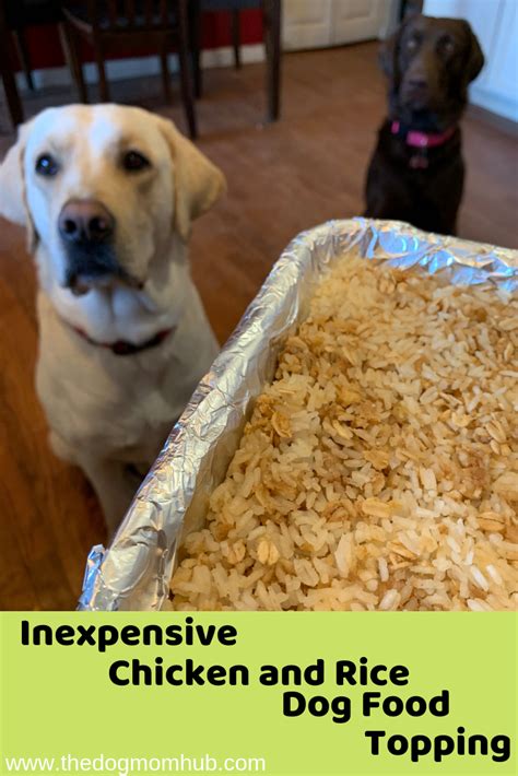 Check spelling or type a new query. Inexpensive dog food topper. #dogfood #easydogfood # ...