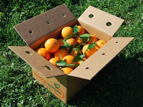 Naranjamania comprar Naranjas Navelina para mesa online Naranjamania