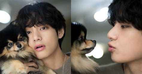 Bts Vs Puppy Yeontan Tries To Play It Smooth While Asking