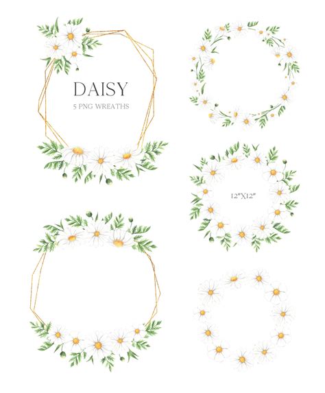 Watercolor Daisy Wreath Clipart Chamomile Spring Flowers Etsy