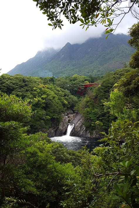 The Island Of Yakushima Is Located Down In The South Of Japan A Few