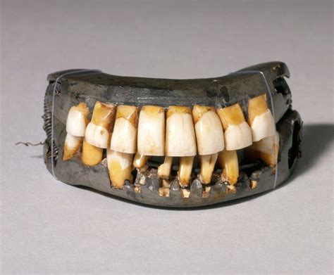 George Washingtons Weakness His Teeth The New York Times