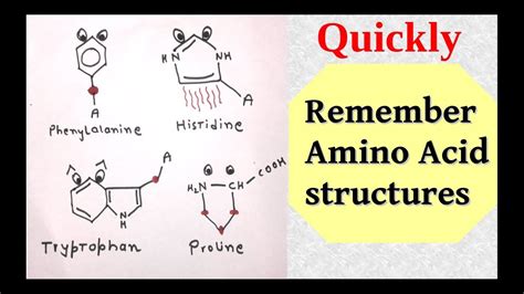 Memorize Amino Acids YouTube