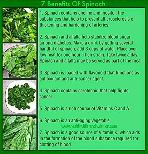 Rainbowdiary 7 Health Benefits Of Spinach