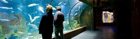 Newsletter Suscribe Form Bristol Aquarium