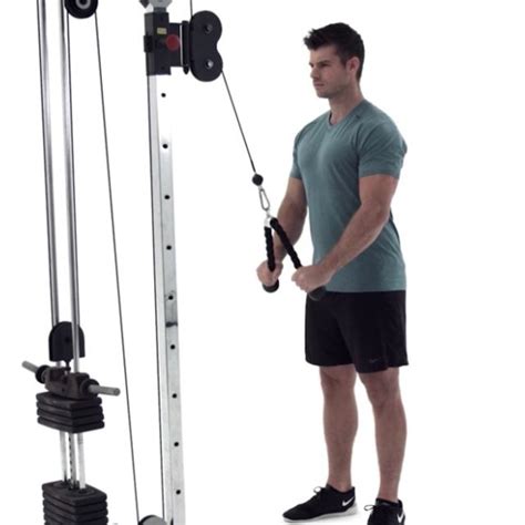 Cable Machine Tricep Rope Pulldown By Thomas King Exercise How To