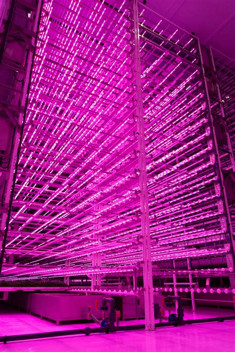 Europe's largest vertical farm is out to crack the hydroponic puzzle | WIRED UK