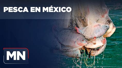La Importancia De La Pesca En México Youtube