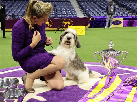 The Westminster Dog Show Winner Is The First Of Its Breed To Be Thrown