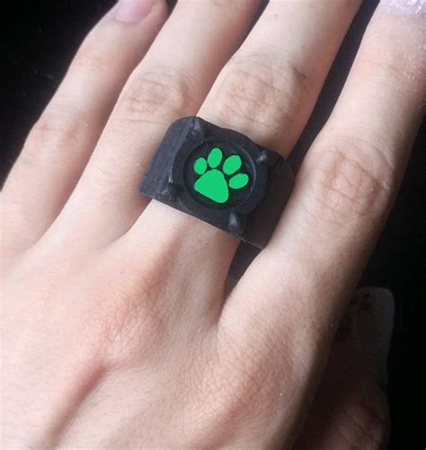 Cat Noir Ring Drawing - CATQP