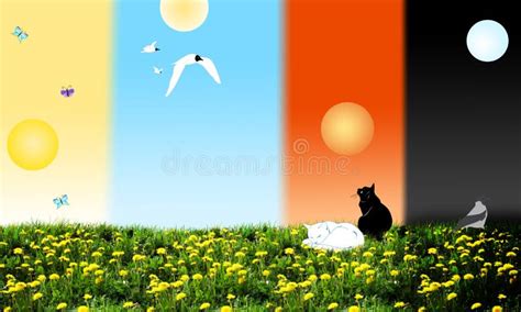 Different Times Of Day Stock Illustration Illustration Of Seagull