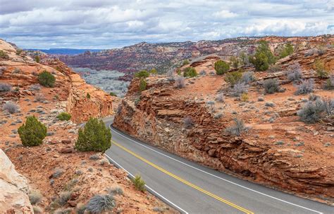 Buckle Up These Are Your States Best Road Trips